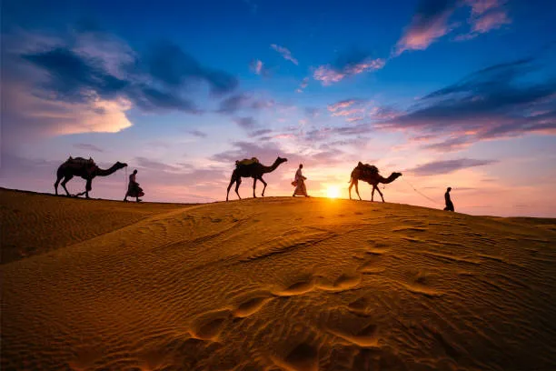 Discover the Magic of Rajasthan: A Royal Journey Through India’s Desert Jewel